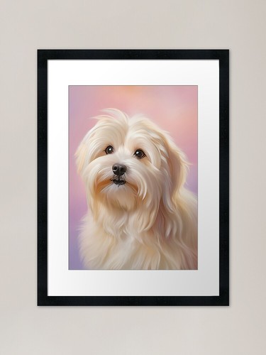 Elegant havanese framed art - havanese,
