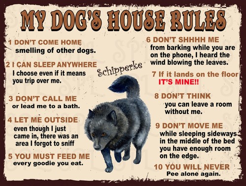 Dog house rules - my,