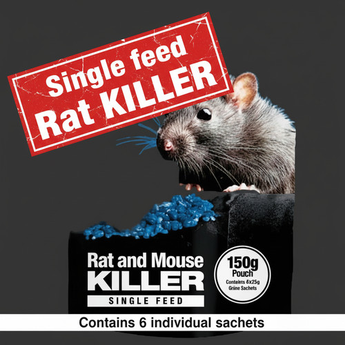Strongest rat mouse - mouse,