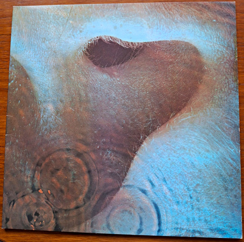 Pink floyd meddle 1971 - pink,