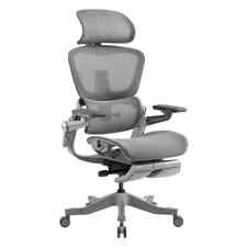 Premium Ergonomic Executive