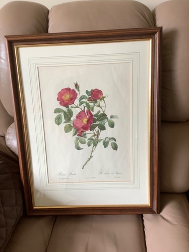 Rosa lumila pierre joseph - lumila,