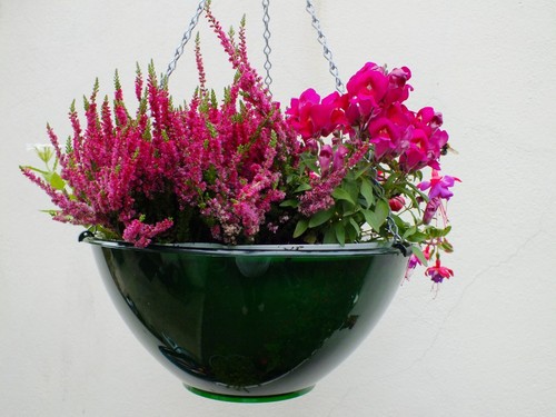 Plastic self watering - plastic, self-watering
