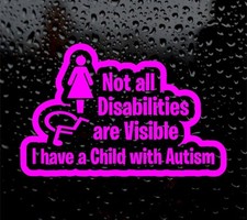 NOT ALL DISABILITIES  ARE