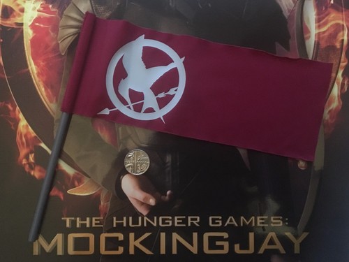 Star ace hunger games - ace,