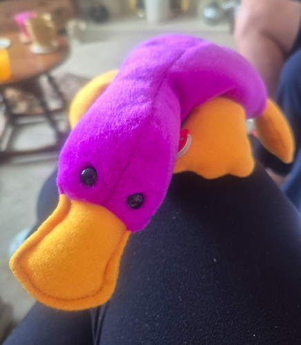 Beanie babies patti - beanie,