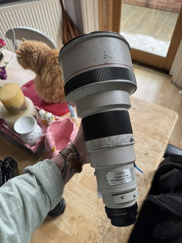 Canon 400mm uk - canon,