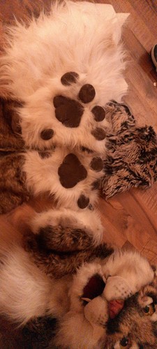 Fursuit head bobcat semi - mq,
