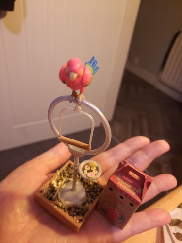 Make mini macaw with food - make,