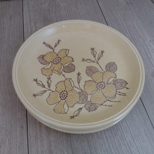 Biltons dinner plates 24cm - 4,