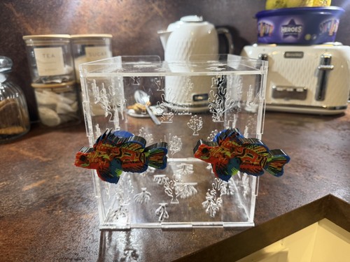 Large magnetic acrylic - magnetic,