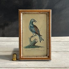 19th Century Miniature Bird