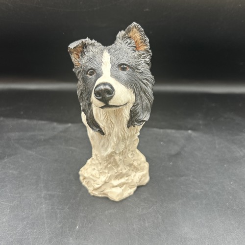 Sherratt simpson head of a - head,