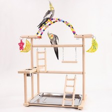Parrot Playground Parrot