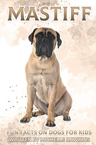 Mastiff fun facts dogs - facts, on