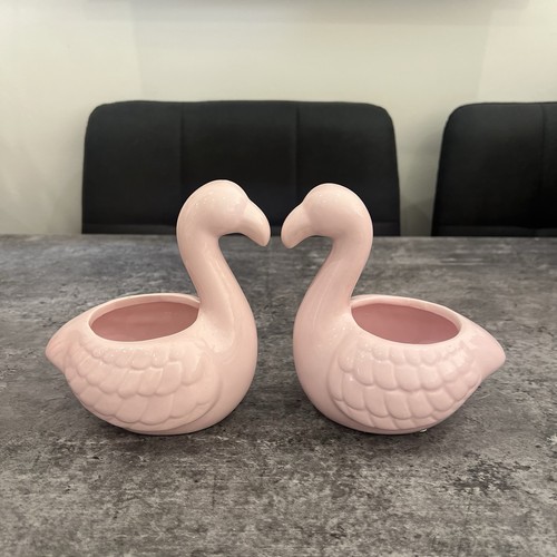 Pair pink swan - pink, bird