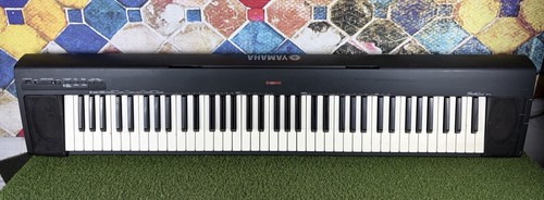 Yamaha portable grand 30 - portable, np-30