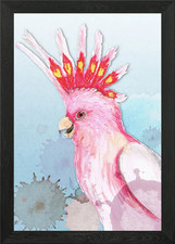 Major Mitchells cockatoo