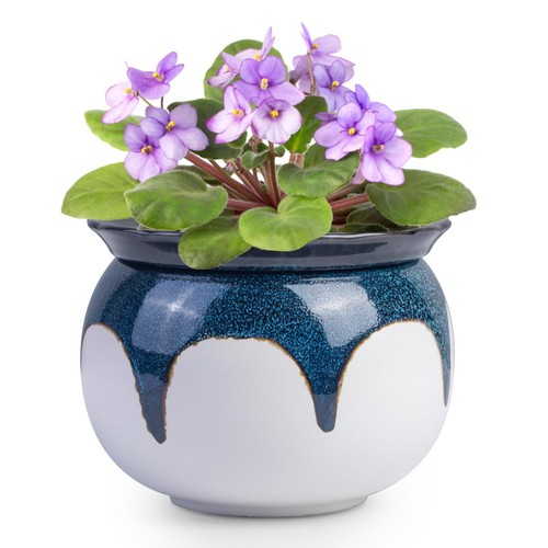 Buymax african violet pots 6 - violet,