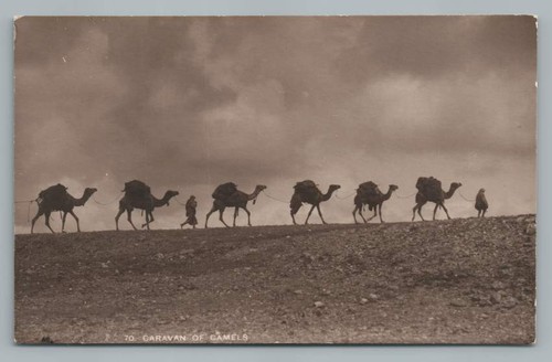 Camel caravan rppc beautiful - caravan,