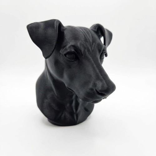 Jack russel dog - jack, bust