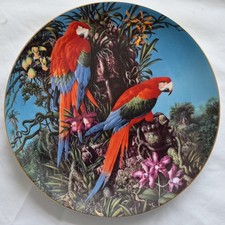 Wedgwood Decorative Wall Plates featuring Red Fronted Macaws