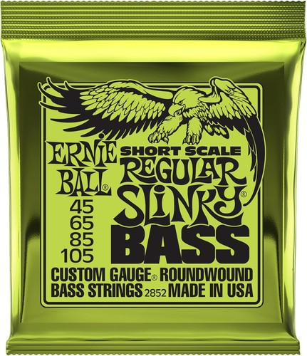 Ernie ball regular - ball, slinky