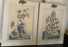 Two Cream Coloured Wooden Framed Botanical Flowers Floral Prints 13” X 17”