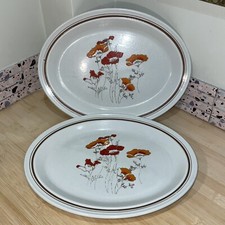 Royal Doulton Field Flower Oval Plate X2 1976 Good Condition Vintage