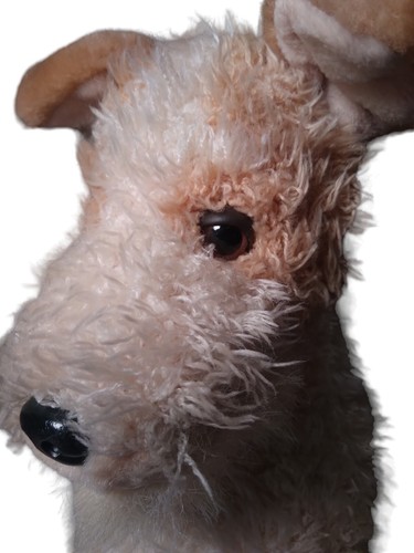 Y2k realistic fox - fox, terrier