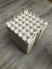 Egg Cardboard