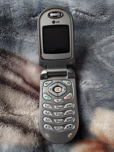 C1300 vintage flip phone - lg,