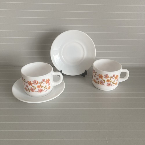 Vintage arcopal scania cup and - cup,