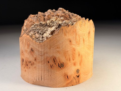 Live edge burr - edge, resin