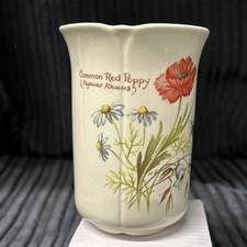 The Country Diary Collection