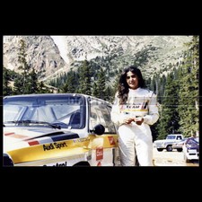 Photo A.016336 MICHÈLE SHEEP