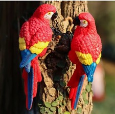 Pair of Parrot Garden Bird