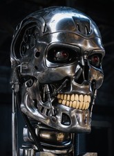 The Terminator endoskeleton