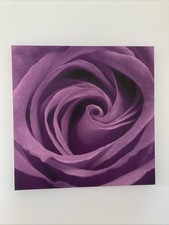 57x57cm Purple Rose Canvas