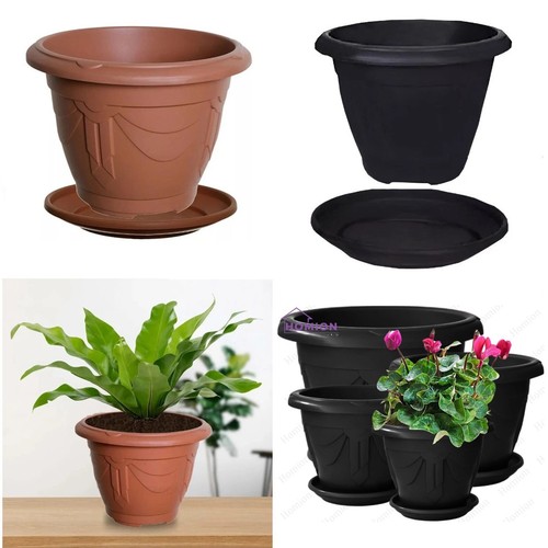 Venetian round plant flower - venetian,