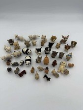 Massive , jungle , kitty