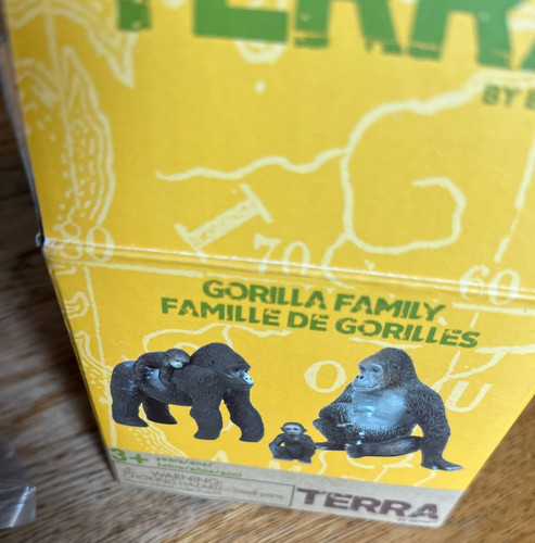 New box terra - , in