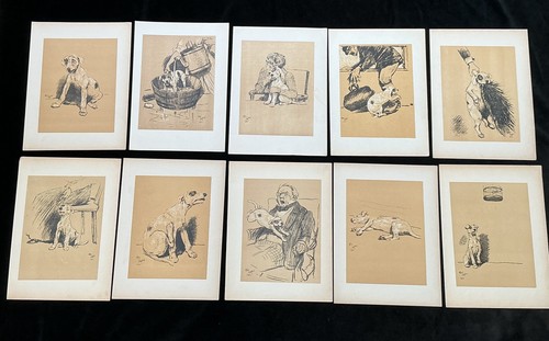 Set naughty dog prints - set,