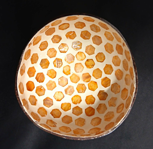 Handmade coconut shell bowl - shell,
