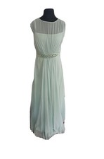Coast Lori Lee Maxi Dress Mint