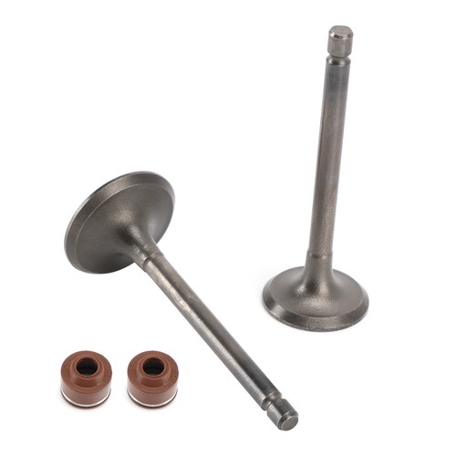 Inlet exhaust valves seals - exhaust,