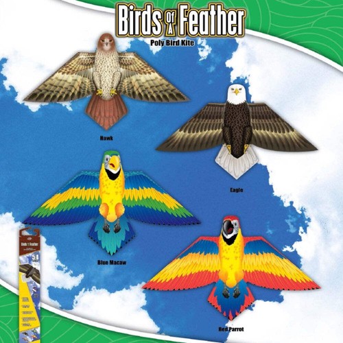 Xkites birds feather 54 - of,