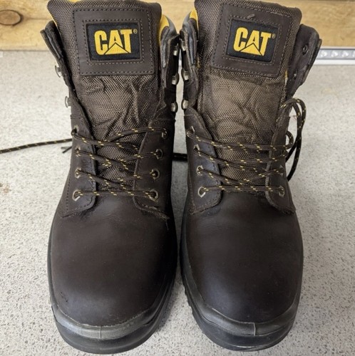 Cat caterpillar safety - cat,