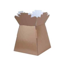 Flower Boxes Living Vases