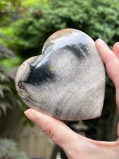 Petrified Fossilised Wood